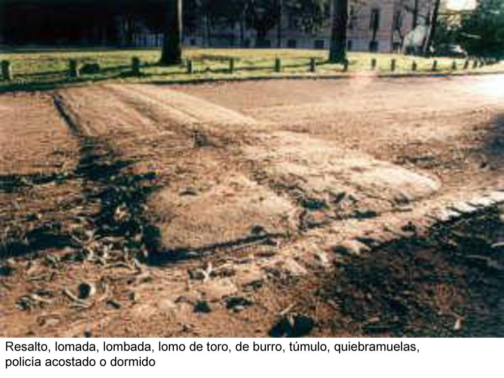 Resalto, lomada, lombada, lomo de toro, de burro, túmulo, quiebramuelas, policía acostado o dormido