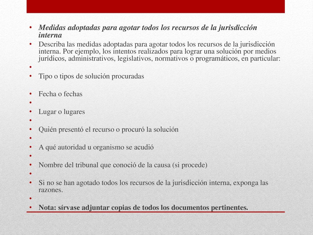 Medidas adoptadas para agotar todos los recursos de la jurisdicción interna