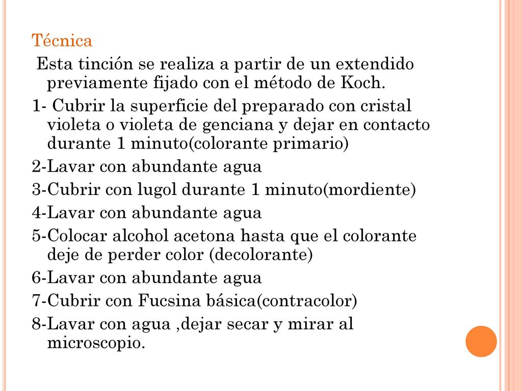 Técnica Esta tinción se realiza a partir de un extendido previamente fijado con el método de Koch.