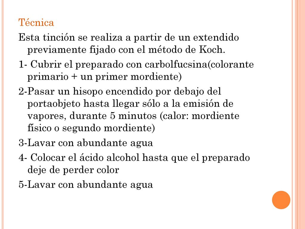 Técnica Esta tinción se realiza a partir de un extendido previamente fijado con el método de Koch.