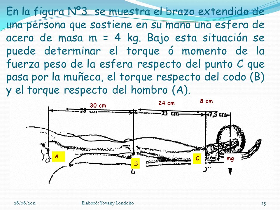 En la figura Nº3 se muestra el brazo extendido de una persona que sostiene en su mano una esfera de acero de masa m = 4 kg. Bajo esta situación se puede determinar el torque ó momento de la fuerza peso de la esfera respecto del punto C que pasa por la muñeca, el torque respecto del codo (B) y el torque respecto del hombro (A).