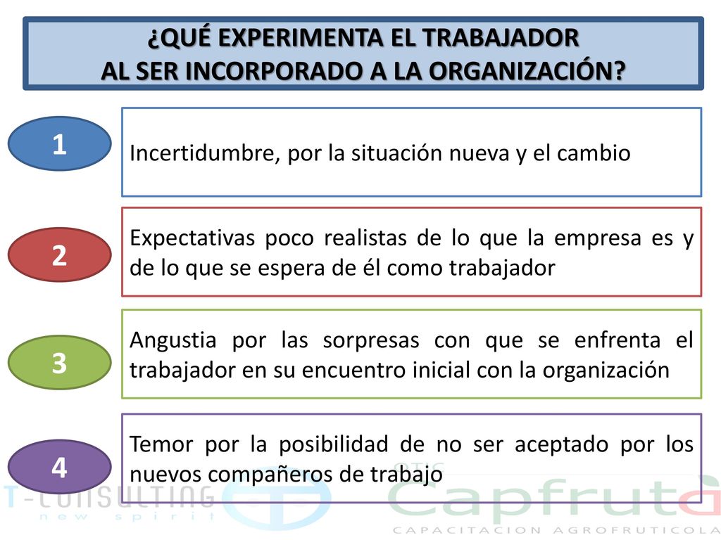 ¿QUÉ EXPERIMENTA EL TRABAJADOR AL SER INCORPORADO A LA ORGANIZACIÓN