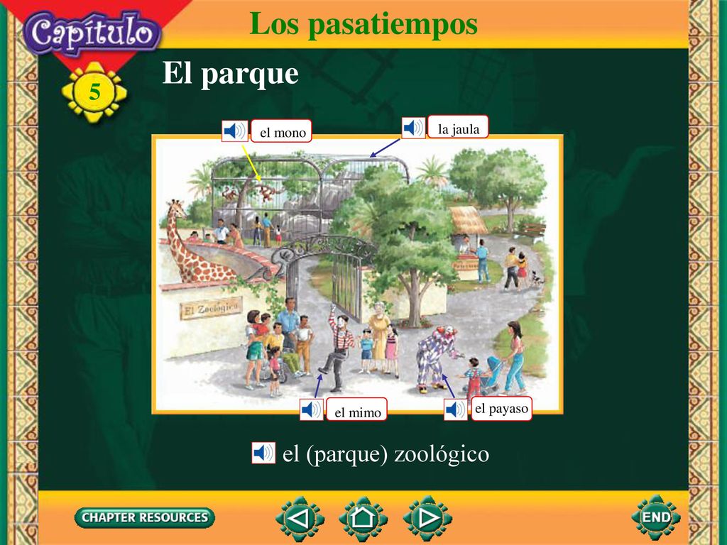 Los pasatiempos El parque el (parque) zoológico la jaula el mono