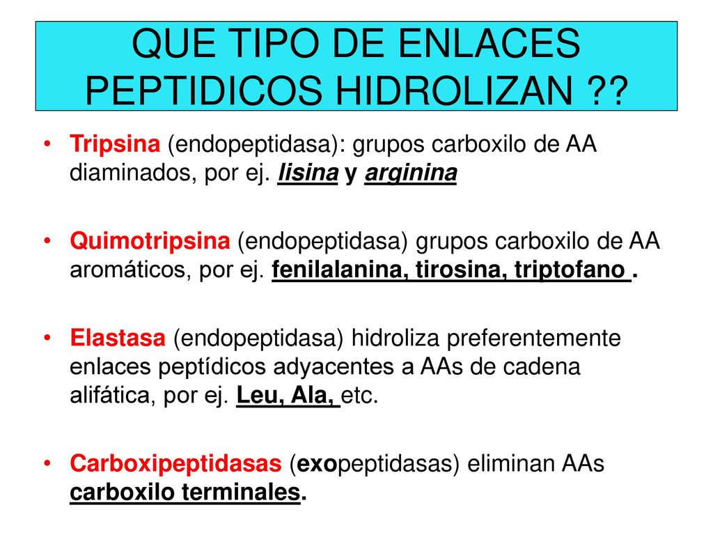 QUE TIPO DE ENLACES PEPTIDICOS HIDROLIZAN