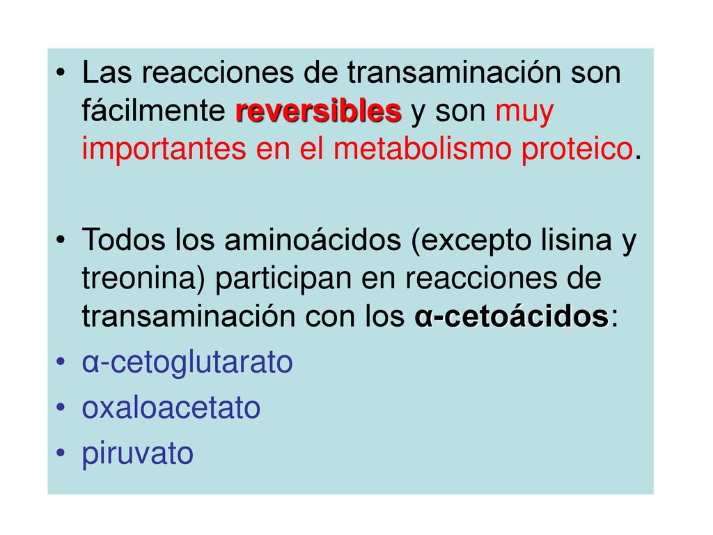 Las reacciones de transaminación son fácilmente reversibles y son muy importantes en el metabolismo proteico.