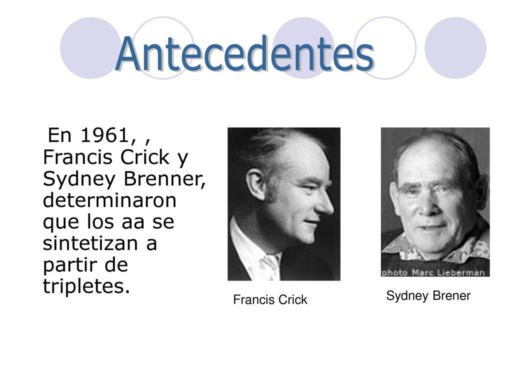 Antecedentes En 1961, , Francis Crick y Sydney Brenner, determinaron que los aa se sintetizan a partir de tripletes.