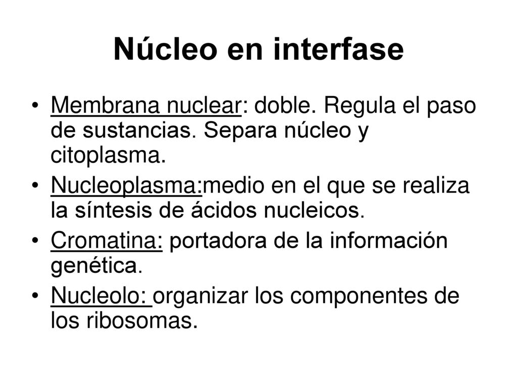 Núcleo en interfase Membrana nuclear: doble. Regula el paso de sustancias. Separa núcleo y citoplasma.