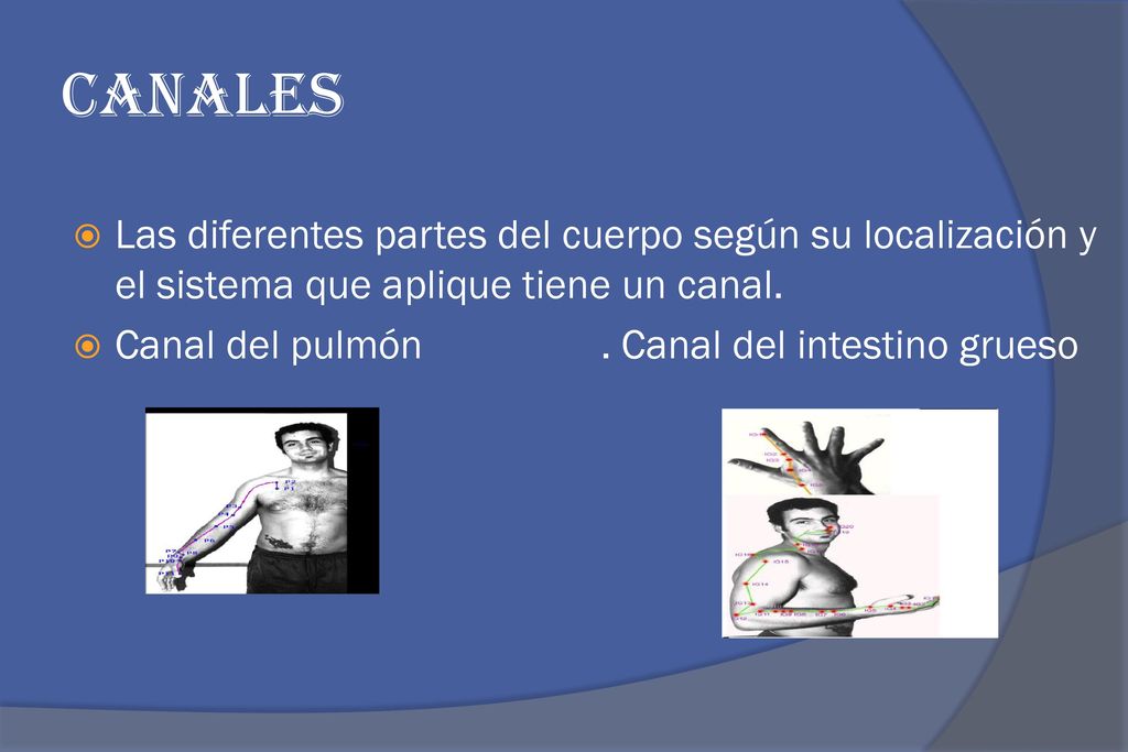 Canales Las diferentes partes del cuerpo según su localización y el sistema que aplique tiene un canal.