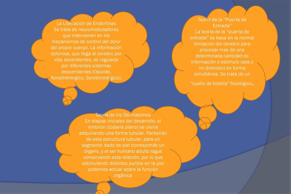 Teoría de la Puerta de Entrada La teoría de la puerta de entrada se basa en la normal limitación del cerebro para procesar mas de una determinada cantidad de información o estimulo (sea o no doloroso) en forma simultánea. Se trata de un cuello de botella fisiológico.