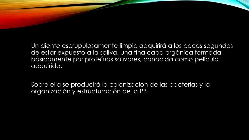 Un diente escrupulosamente limpio adquirirá a los pocos segundos de estar expuesto a la saliva, una fina capa orgánica formada básicamente por proteínas salivares, conocida como película adquirida.