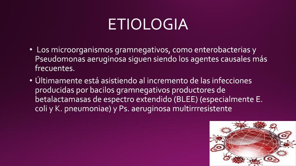 ETIOLOGIA Los microorganismos gramnegativos, como enterobacterias y Pseudomonas aeruginosa siguen siendo los agentes causales más frecuentes.