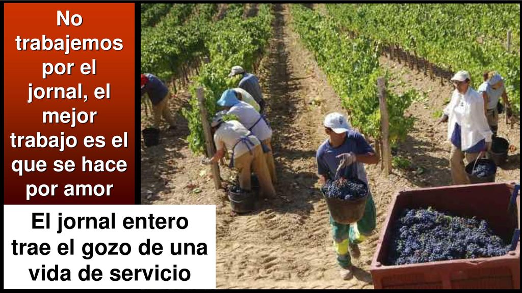 El jornal entero trae el gozo de una vida de servicio