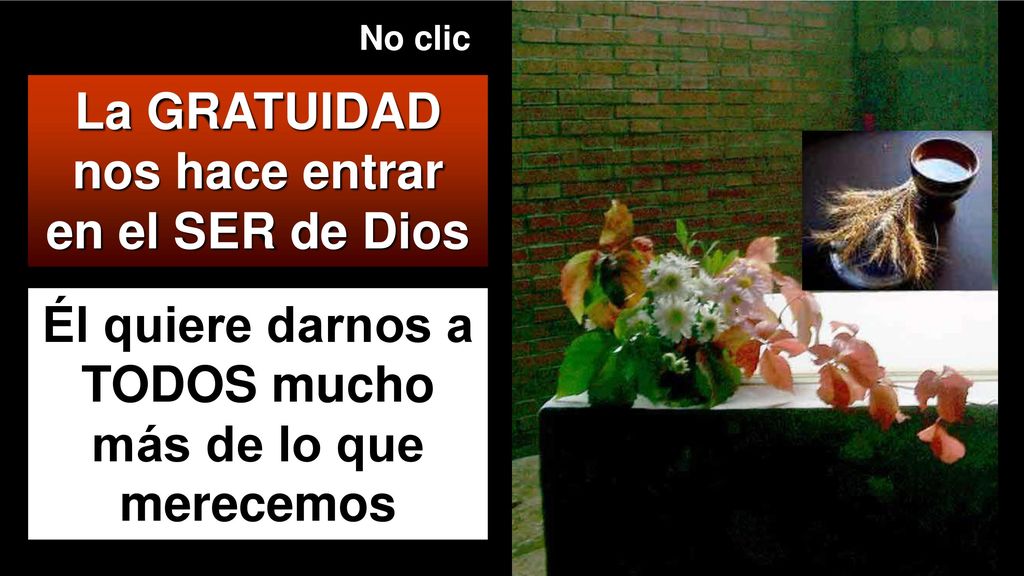 La GRATUIDAD nos hace entrar en el SER de Dios