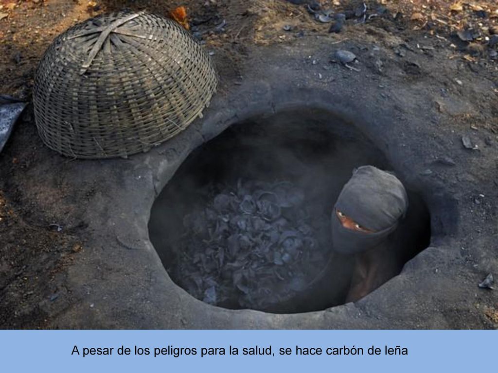 A pesar de los peligros para la salud, se hace carbón de leña