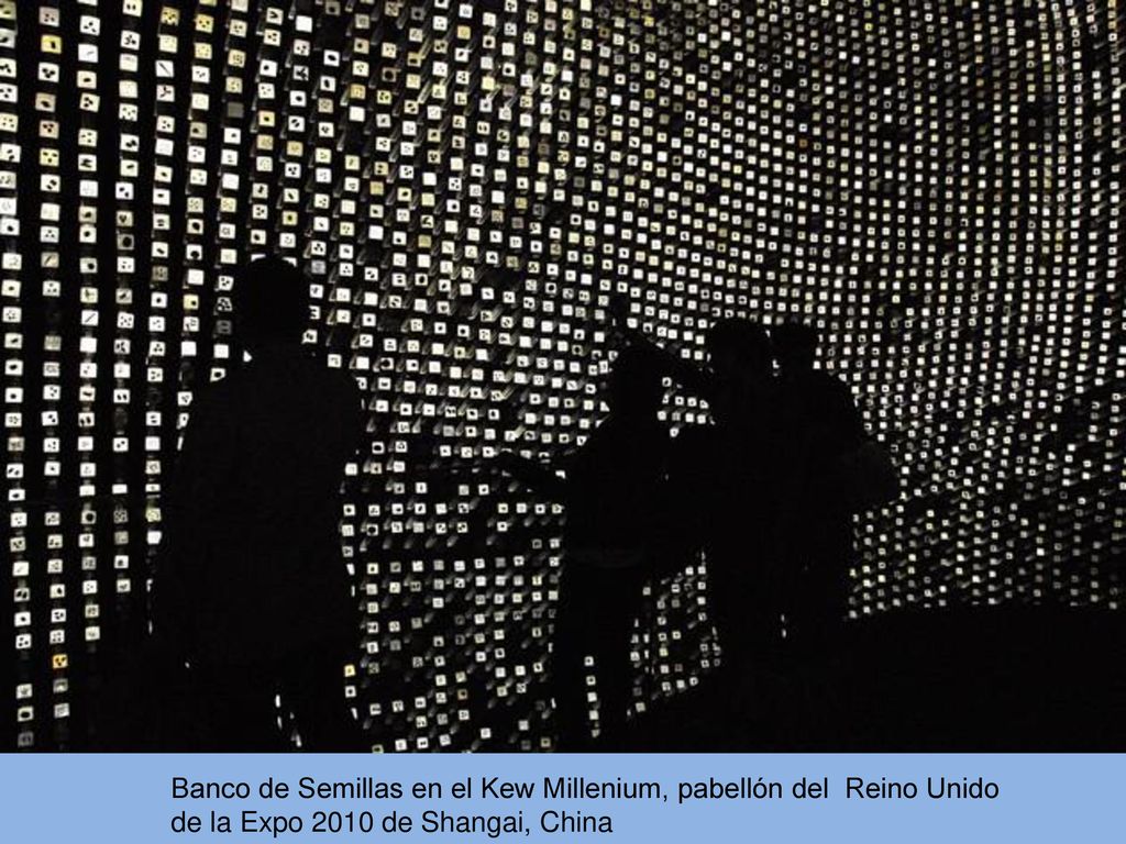 Banco de Semillas en el Kew Millenium, pabellón del Reino Unido