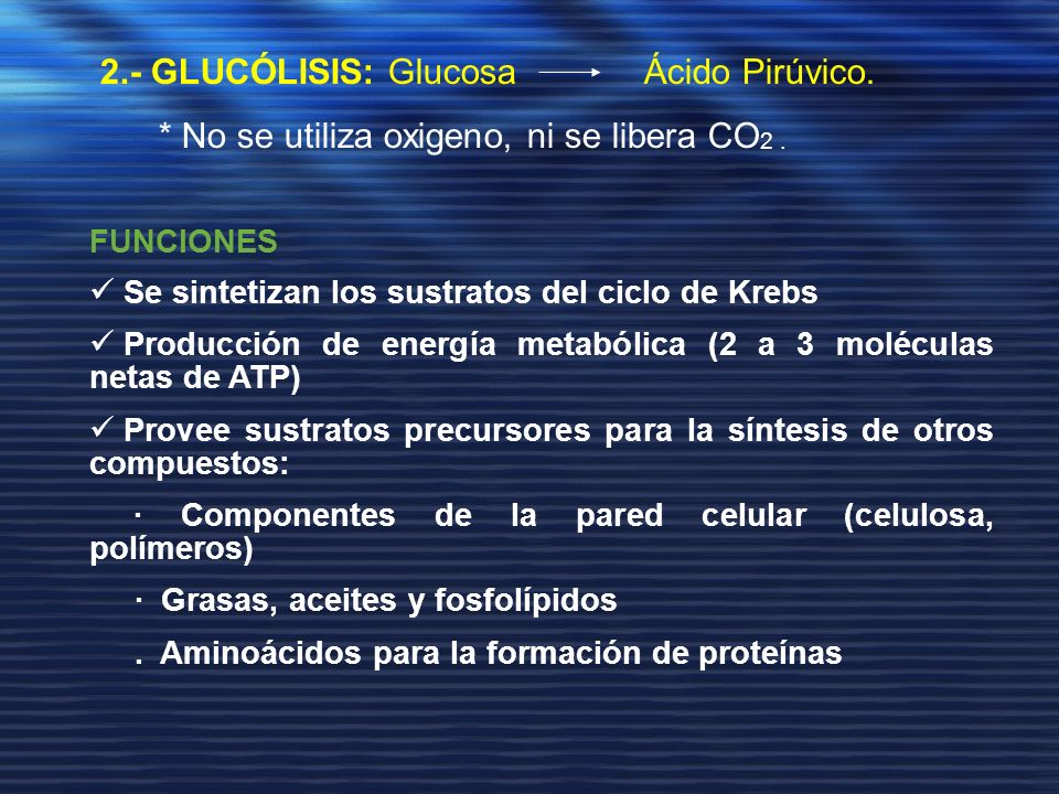 2.- GLUCÓLISIS: Glucosa Ácido Pirúvico.