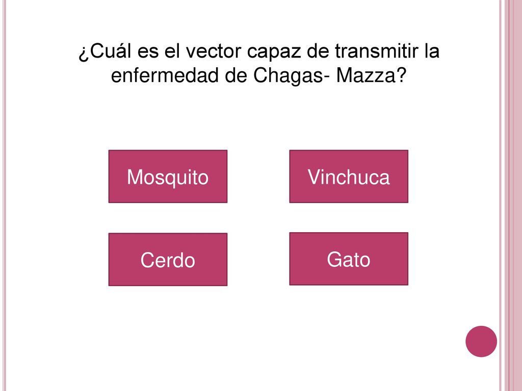¿Cuál es el vector capaz de transmitir la enfermedad de Chagas- Mazza