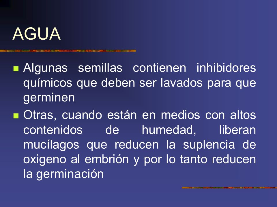 AGUA Algunas semillas contienen inhibidores químicos que deben ser lavados para que germinen.