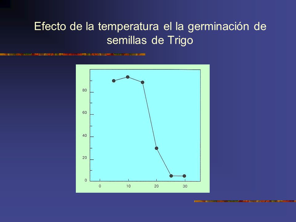 Efecto de la temperatura el la germinación de semillas de Trigo