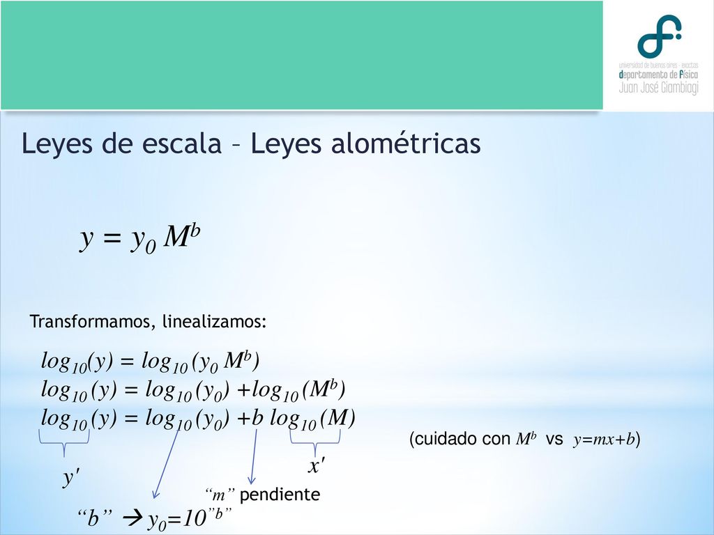 y = y0 Mb Leyes de escala – Leyes alométricas log10(y) = log10 (y0 Mb)