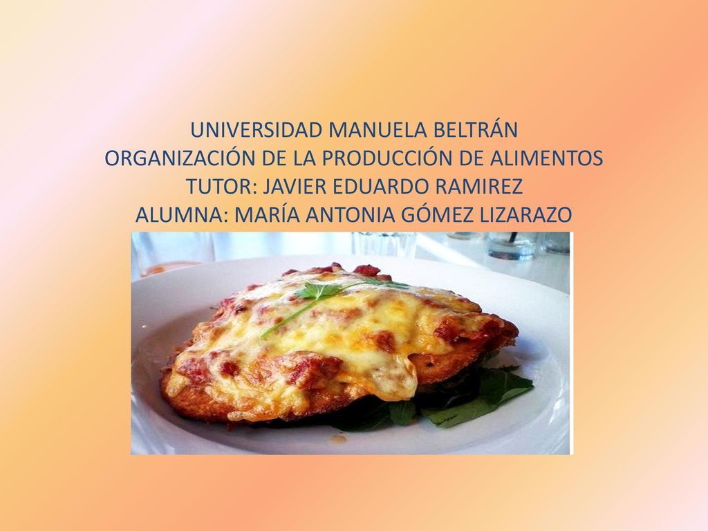 UNIVERSIDAD MANUELA BELTRÁN ORGANIZACIÓN DE LA PRODUCCIÓN DE ALIMENTOS TUTOR: JAVIER EDUARDO RAMIREZ ALUMNA: MARÍA ANTONIA GÓMEZ LIZARAZO