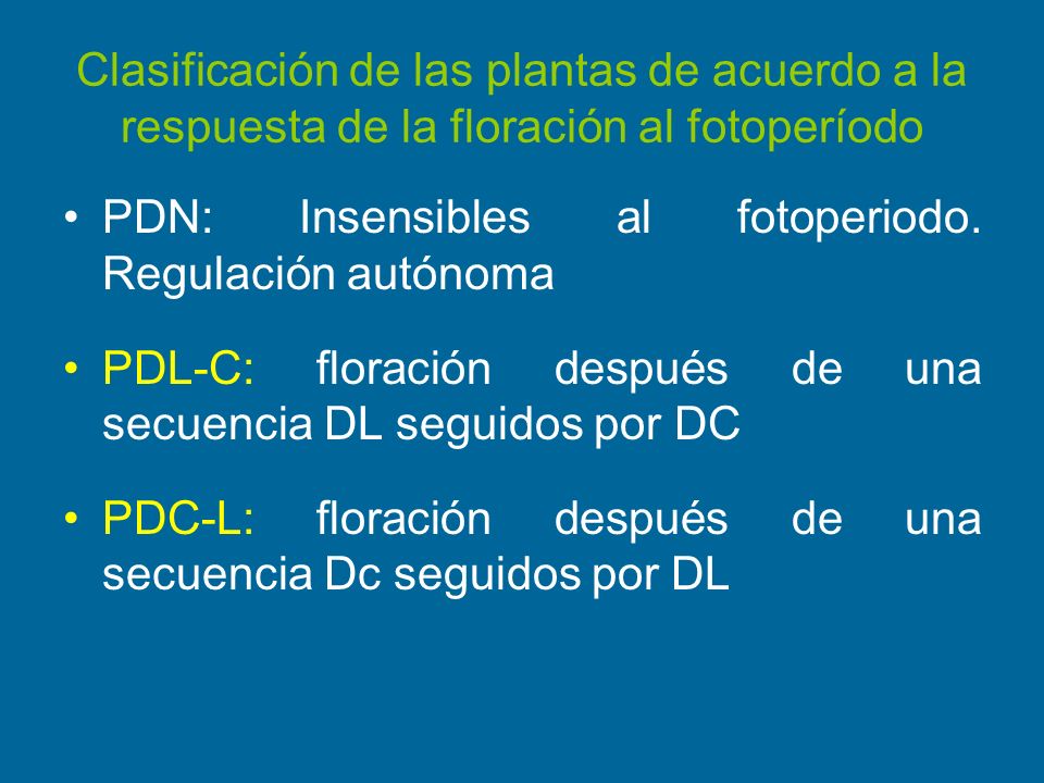 Clasificación de las plantas de acuerdo a la respuesta de la floración al fotoperíodo