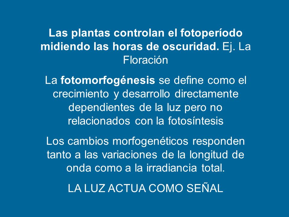 Las plantas controlan el fotoperíodo midiendo las horas de oscuridad