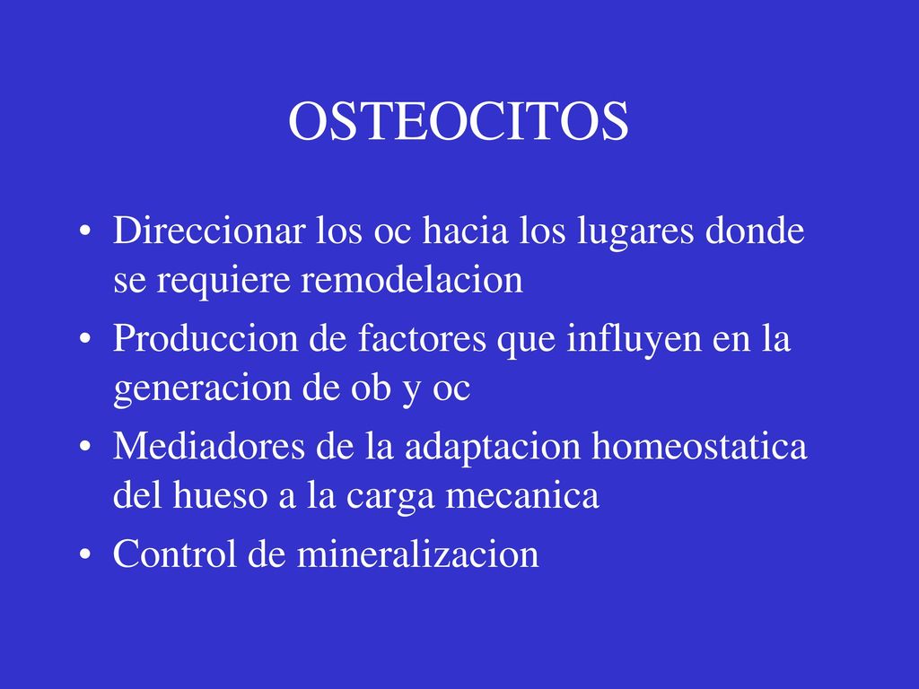 OSTEOCITOS Direccionar los oc hacia los lugares donde se requiere remodelacion. Produccion de factores que influyen en la generacion de ob y oc.
