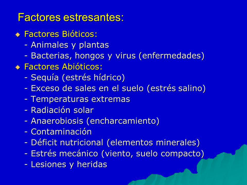 Factores estresantes: