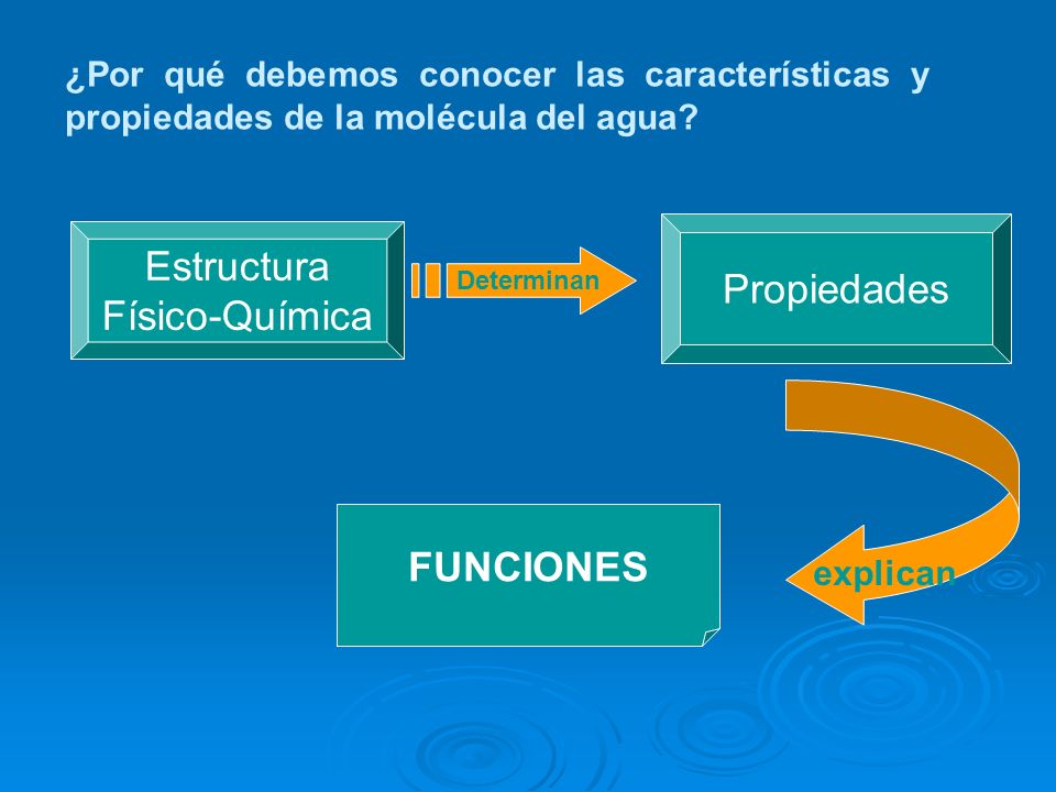Estructura Propiedades Físico-Química FUNCIONES