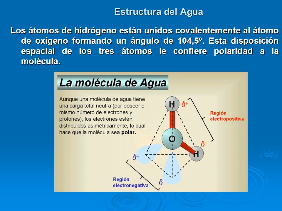 Estructura del Agua