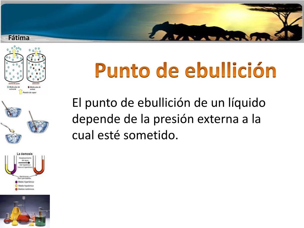 Punto de ebullición El punto de ebullición de un líquido depende de la presión externa a la cual esté sometido.