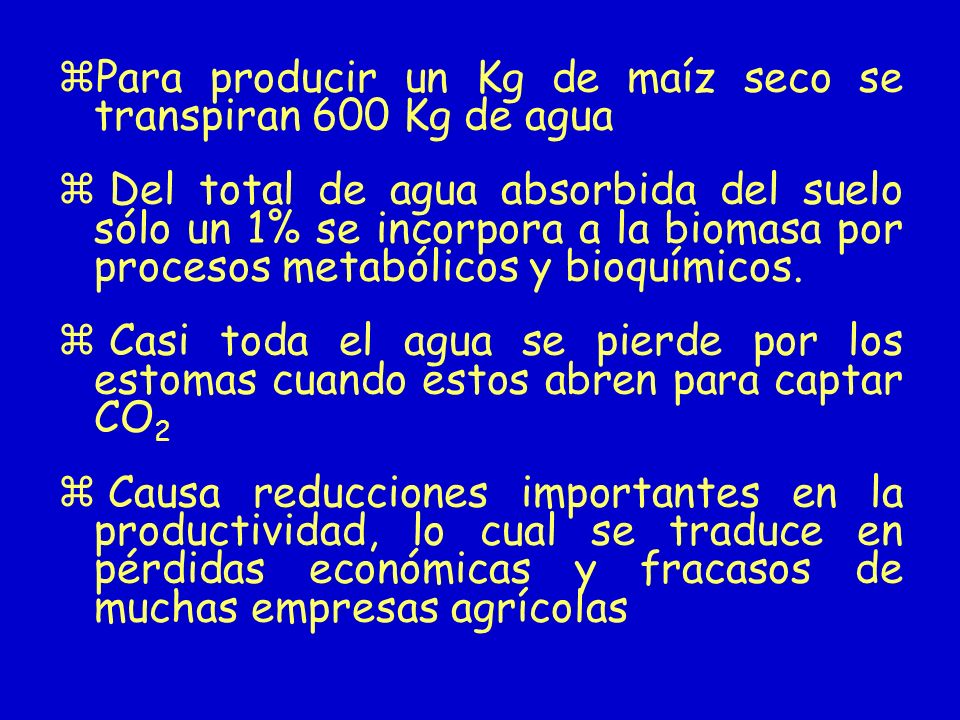 Para producir un Kg de maíz seco se transpiran 600 Kg de agua