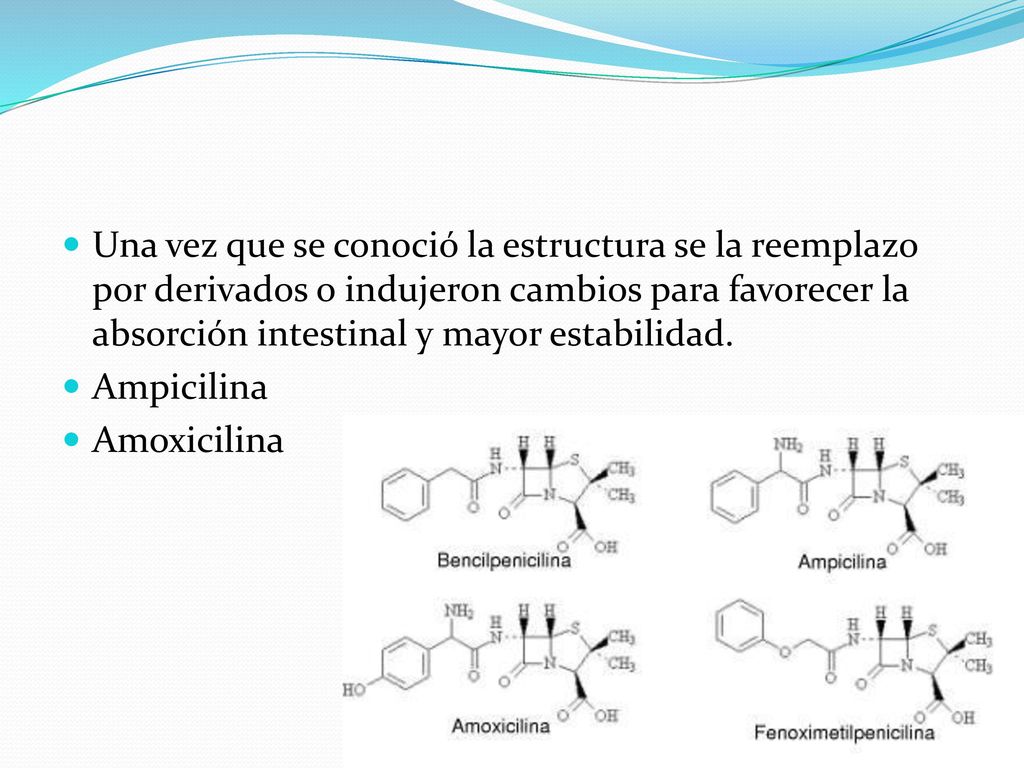 Una vez que se conoció la estructura se la reemplazo por derivados o indujeron cambios para favorecer la absorción intestinal y mayor estabilidad.