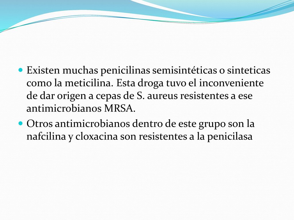 Existen muchas penicilinas semisintéticas o sinteticas como la meticilina. Esta droga tuvo el inconveniente de dar origen a cepas de S. aureus resistentes a ese antimicrobianos MRSA.