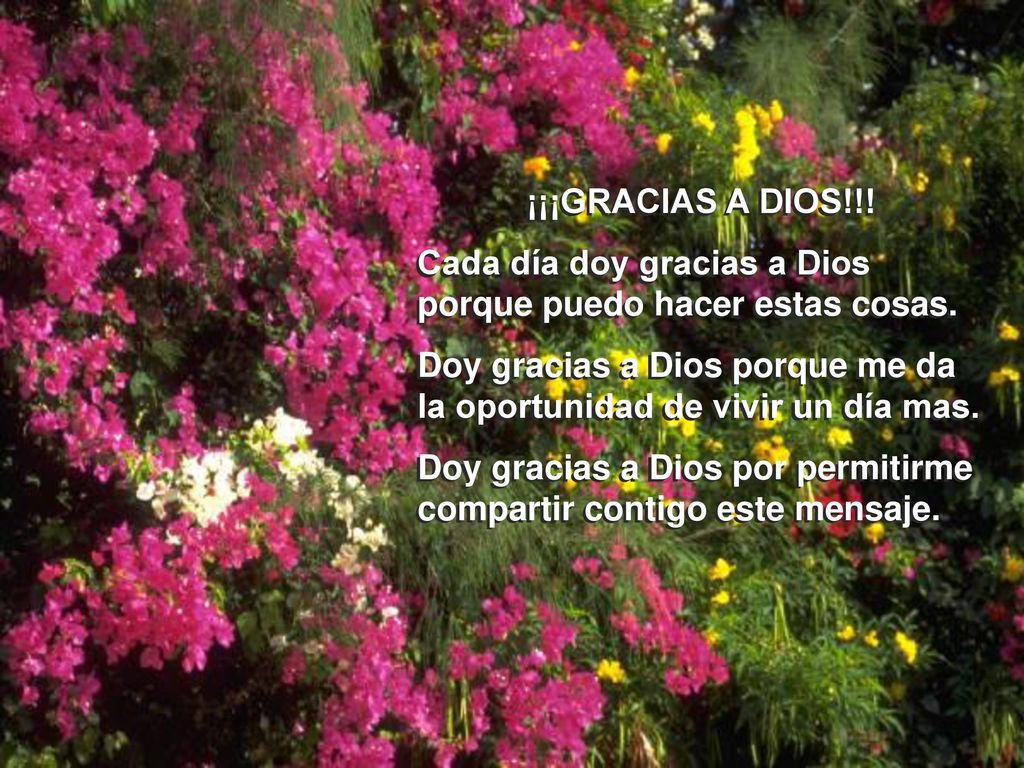 ¡¡¡GRACIAS A DIOS!!! Cada día doy gracias a Dios porque puedo hacer estas cosas. Doy gracias a Dios porque me da la oportunidad de vivir un día mas.