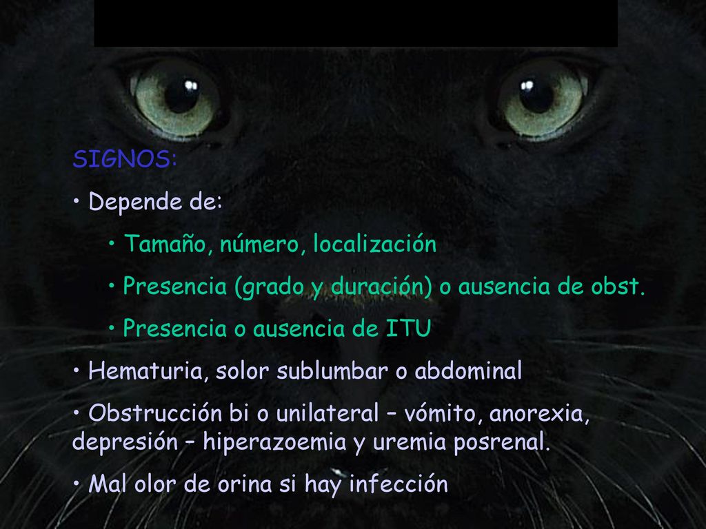 SIGNOS: Depende de: Tamaño, número, localización. Presencia (grado y duración) o ausencia de obst.