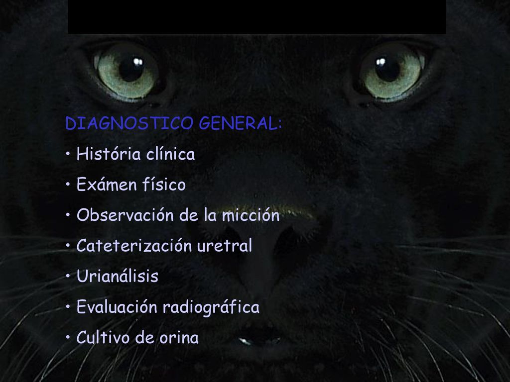 DIAGNOSTICO GENERAL: História clínica. Exámen físico. Observación de la micción. Cateterización uretral.