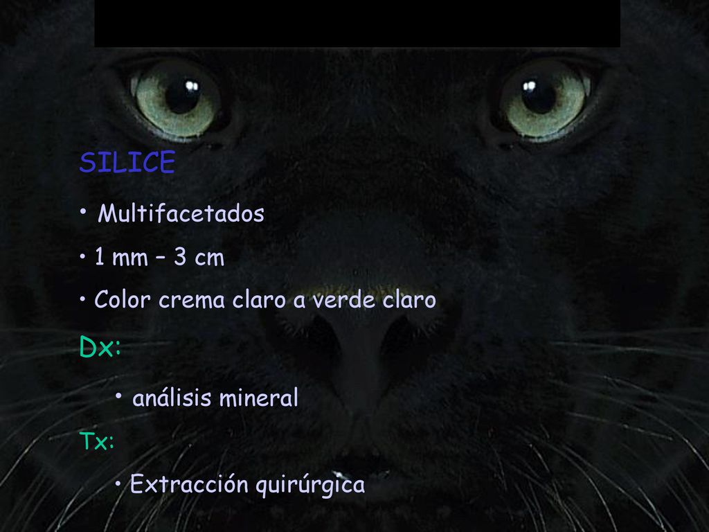 SILICE Multifacetados Dx: análisis mineral 1 mm – 3 cm