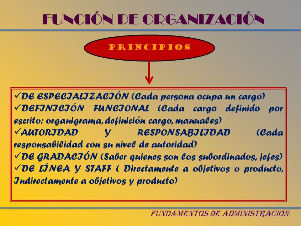 FUNCIÓN DE ORGANIZACIÓN