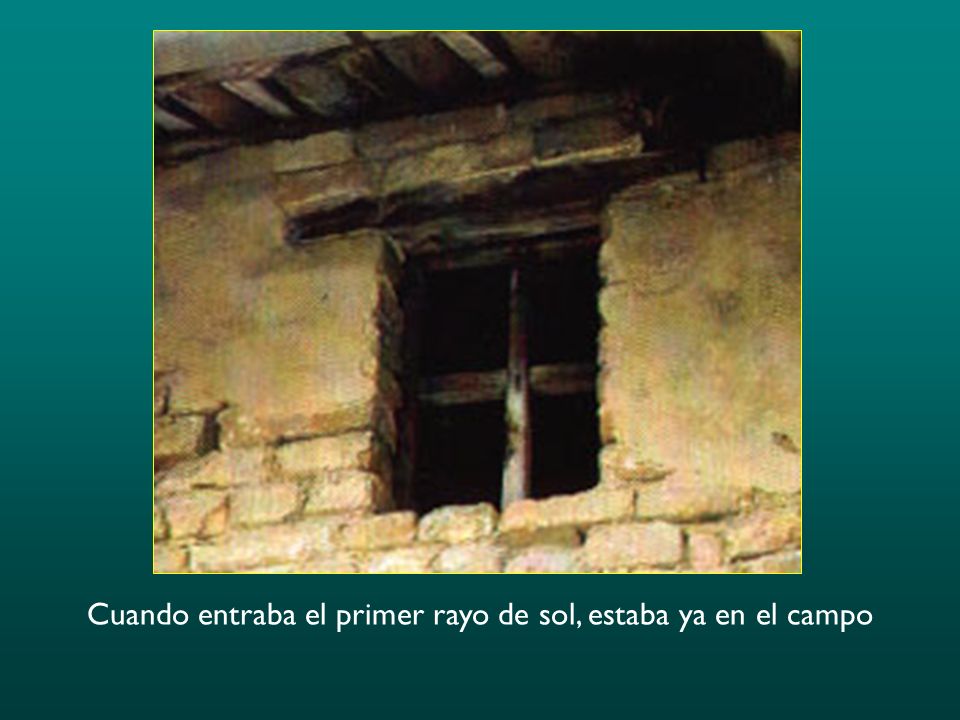 Cuando entraba el primer rayo de sol, estaba ya en el campo