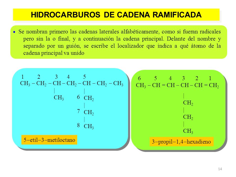 HIDROCARBUROS DE CADENA RAMIFICADA