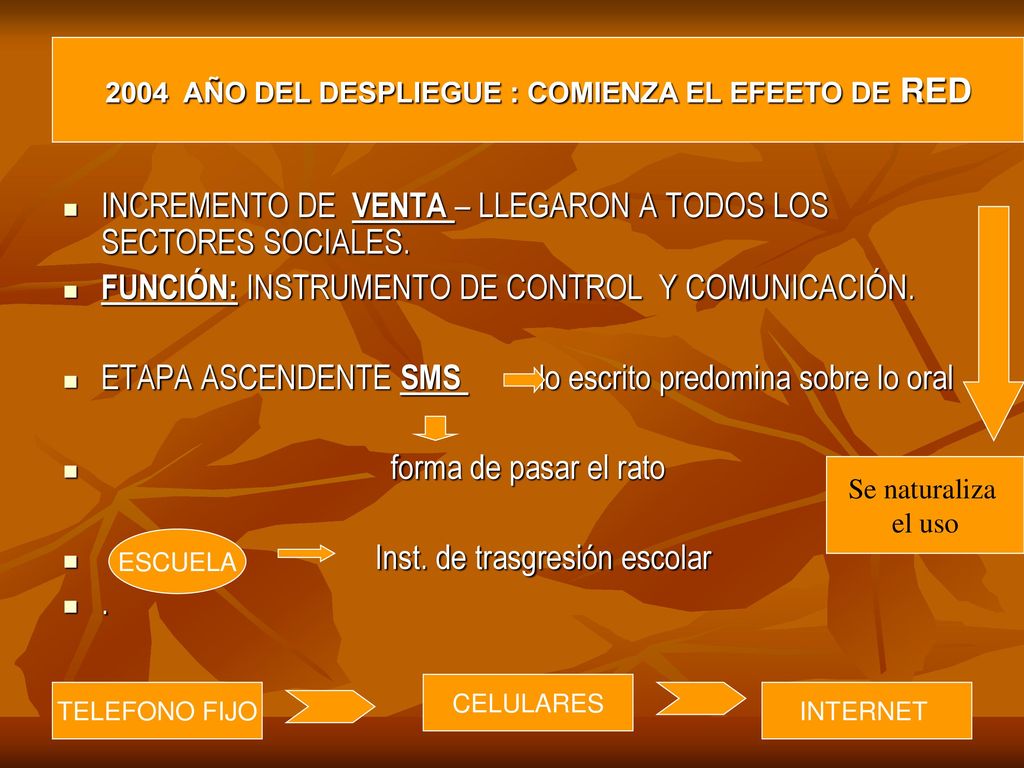 2004 AÑO DEL DESPLIEGUE : COMIENZA EL EFEETO DE RED
