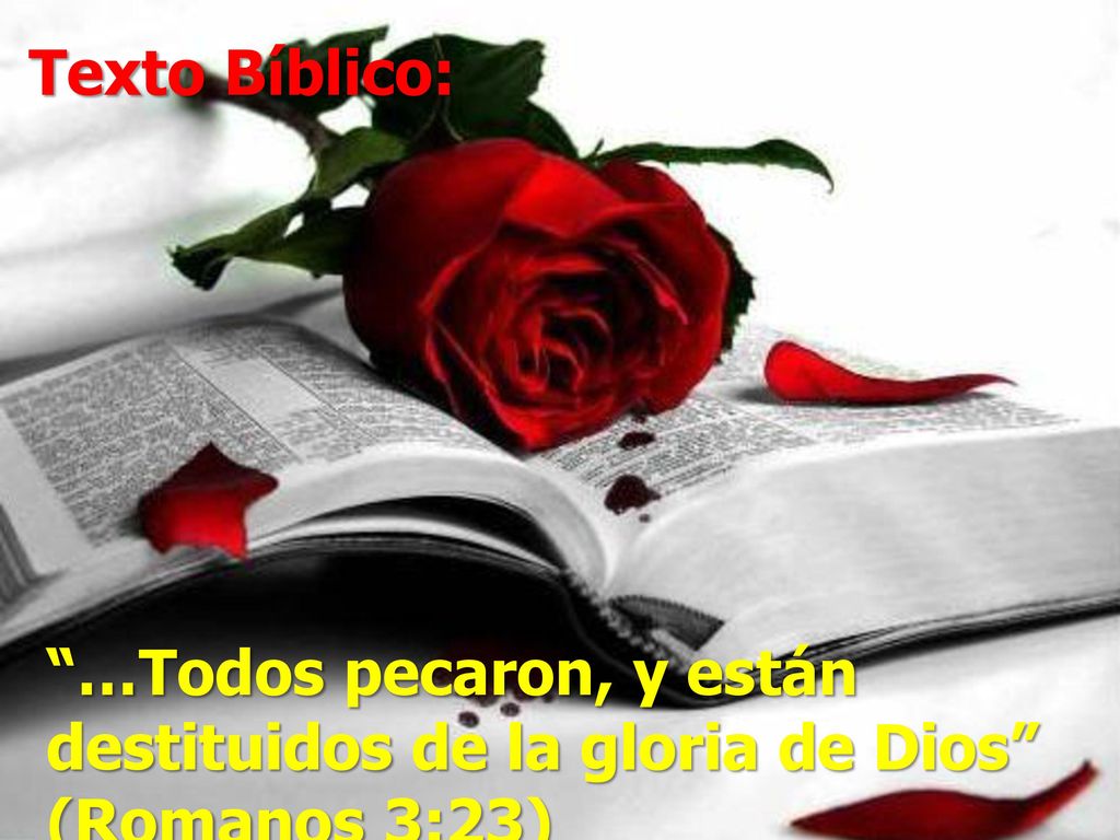 Texto Bíblico: …Todos pecaron, y están destituidos de la gloria de Dios (Romanos 3:23)