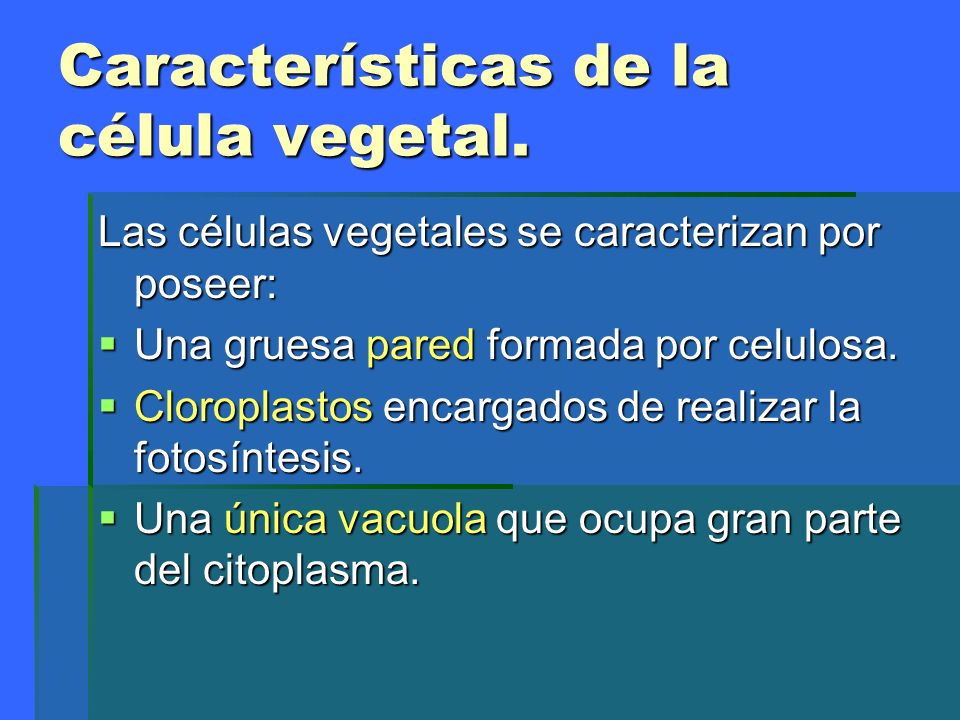 Características de la célula vegetal.