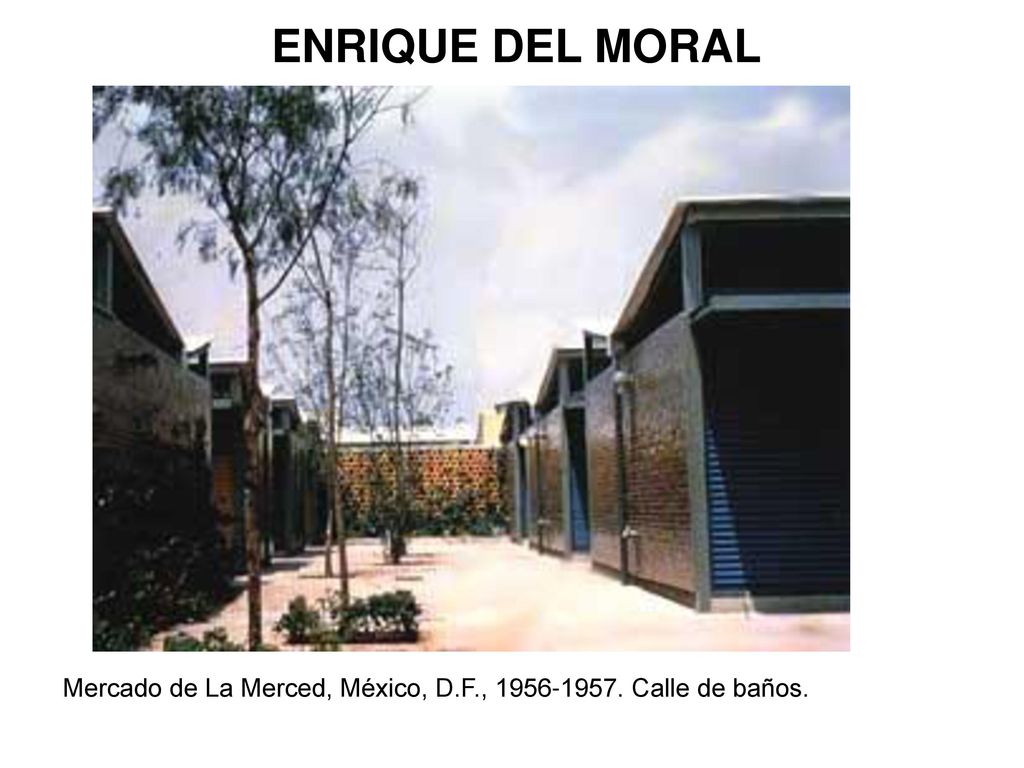 ENRIQUE DEL MORAL Mercado de La Merced, México, D.F., Calle de baños.