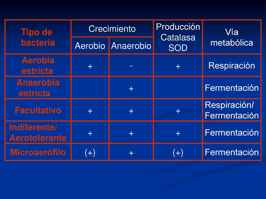 Tipo de bacteria. Crecimiento. Producción. Catalasa. SOD. Vía metabólica. Aerobio. Anaerobio.