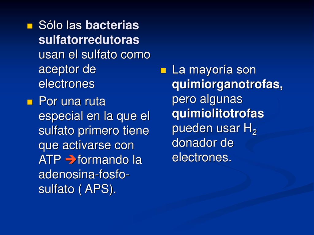Sólo las bacterias sulfatorredutoras usan el sulfato como aceptor de electrones