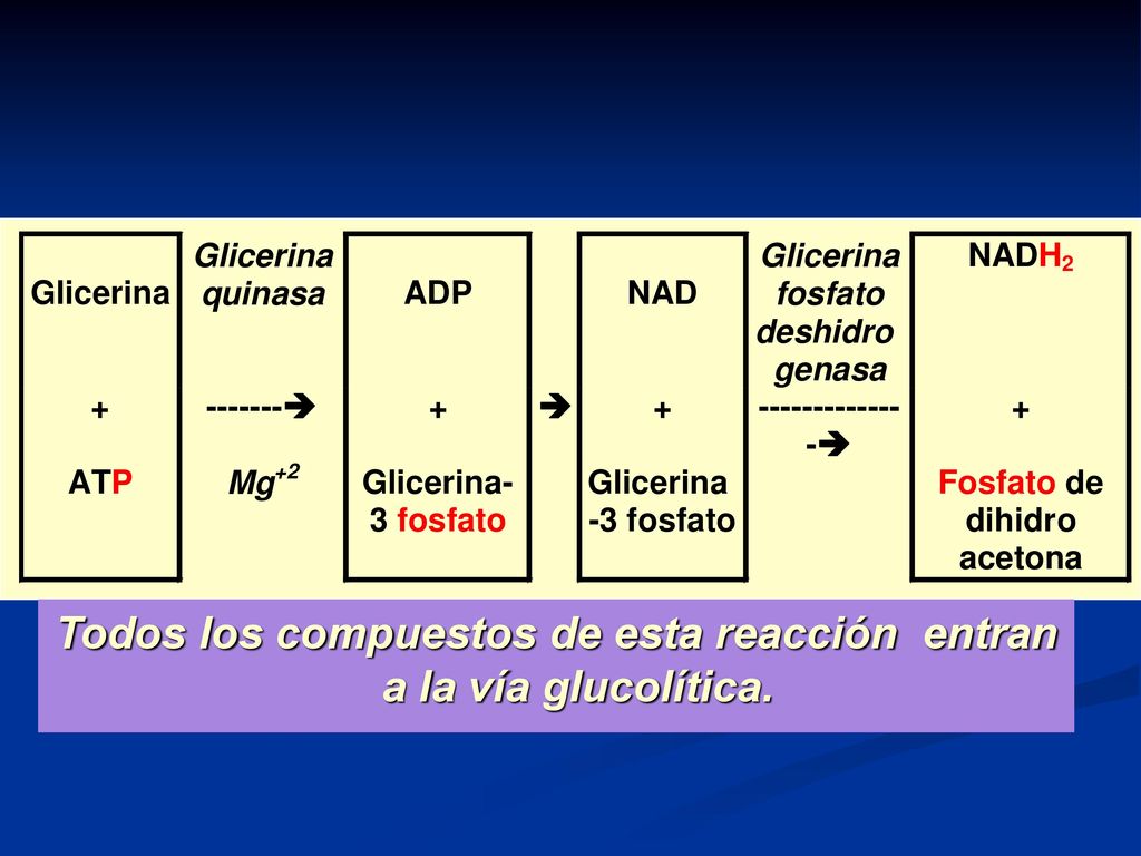 Todos los compuestos de esta reacción entran a la vía glucolítica.