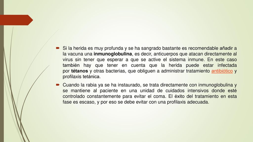 Si la herida es muy profunda y se ha sangrado bastante es recomendable añadir a la vacuna una inmunoglobulina, es decir, anticuerpos que atacan directamente al virus sin tener que esperar a que se active el sistema inmune. En este caso también hay que tener en cuenta que la herida puede estar infectada por tétanos y otras bacterias, que obliguen a administrar tratamiento antibiótico y profilaxis tetánica.